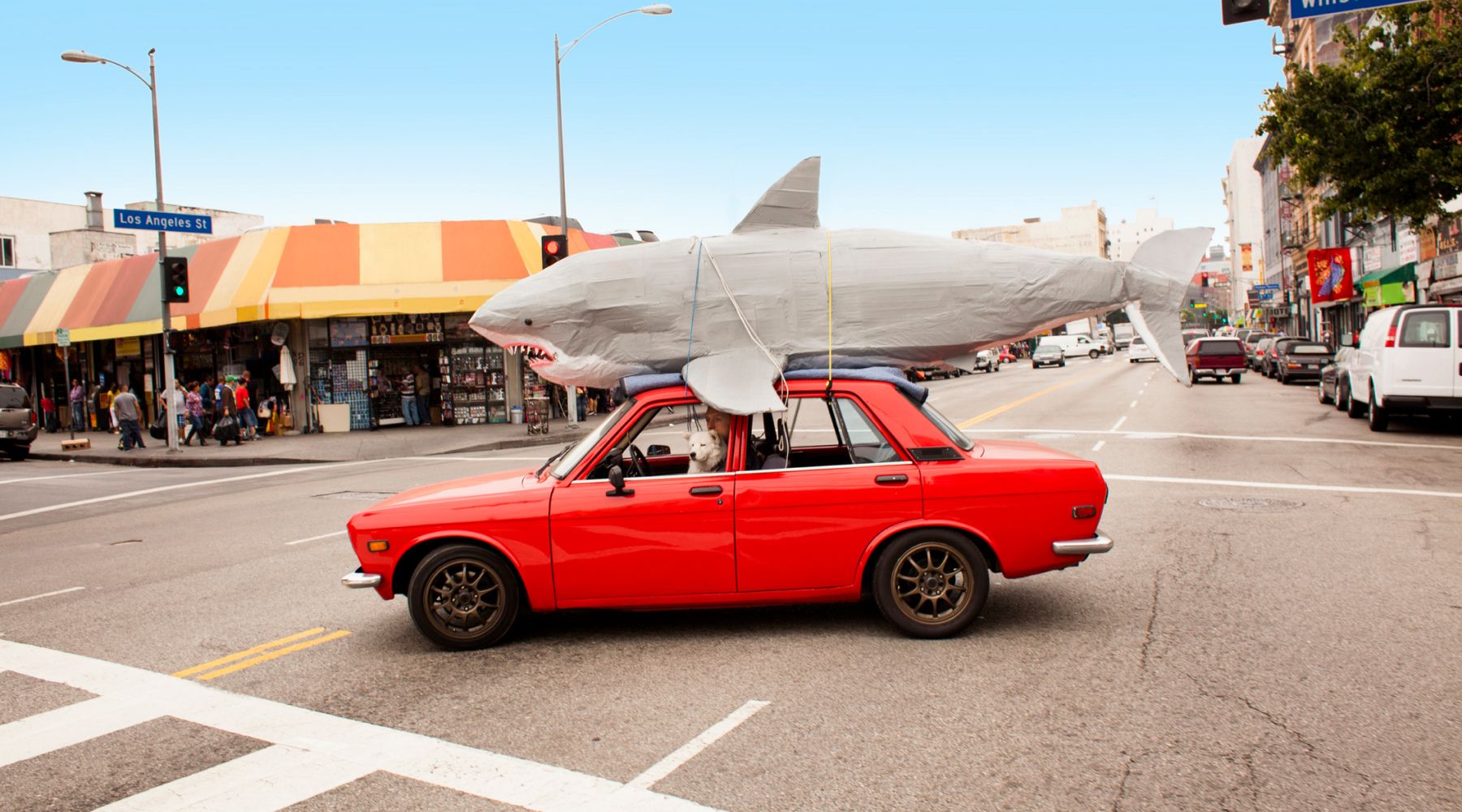 Image: Supplied Car Insurance